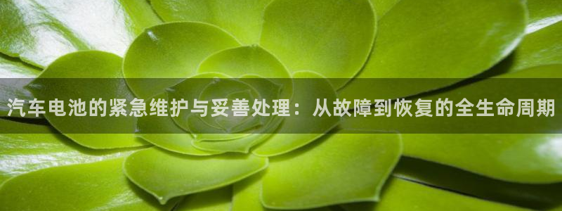 优发国际手机客户端怎么下载：汽车电池的紧急维护与妥善处理：从故障到恢复的全生命周期