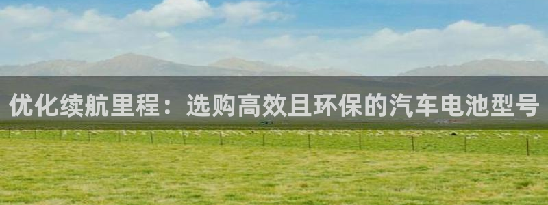 优发国际登录首页：优化续航里程：选购高效且环保的汽车电池型号