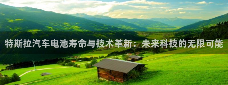 优发国际app官网下载安装：特斯拉汽车电池寿命与技术革新：未来科技的无限可能